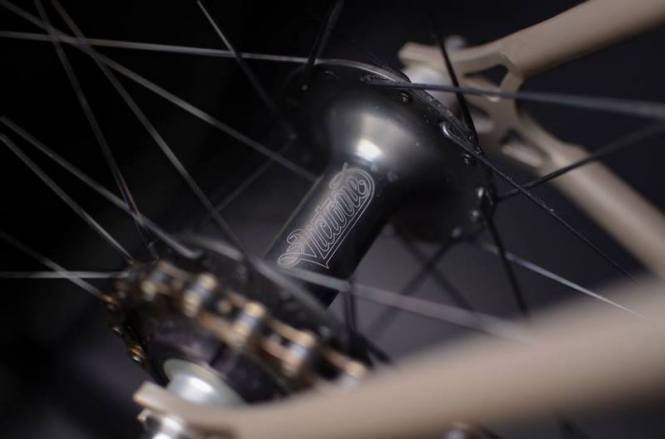 1533825_243514292516739_2910079810590082434_n