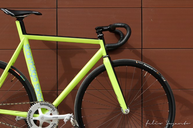 11438186196_d03b8a6598_b