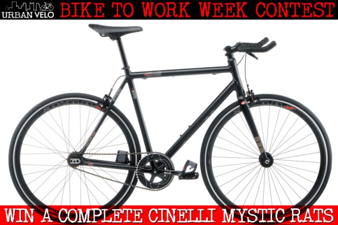 53571ef8ec86e-mystic_rats_contest1